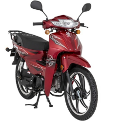 Mondial Sfc Mini 50 cc Cup Motosiklet