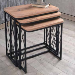 Ece Zigon Atlantik Çam