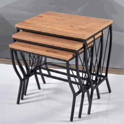 Eylül Zigon Atlantik Çam