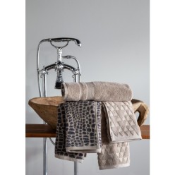 Apricitas Home 50x90 3'lü Louis Havlu Seti