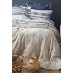 Apricitas Home Double Comfort Ekru Tek Kişilik %100 Pamuk Nevresim Takımı