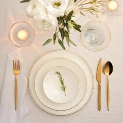Emsan Fine Bone Freya 18 Parça 6 Kişilik Yuvarlak Yemek Takımı Gold